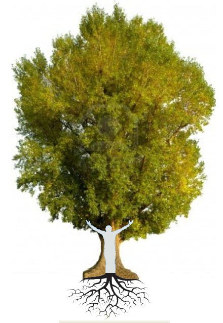 Grazie alla sua maestosità, l'albero ci aiuta a scambiare ed armonizzare le nostre energie con quelle del cielo e della terra.